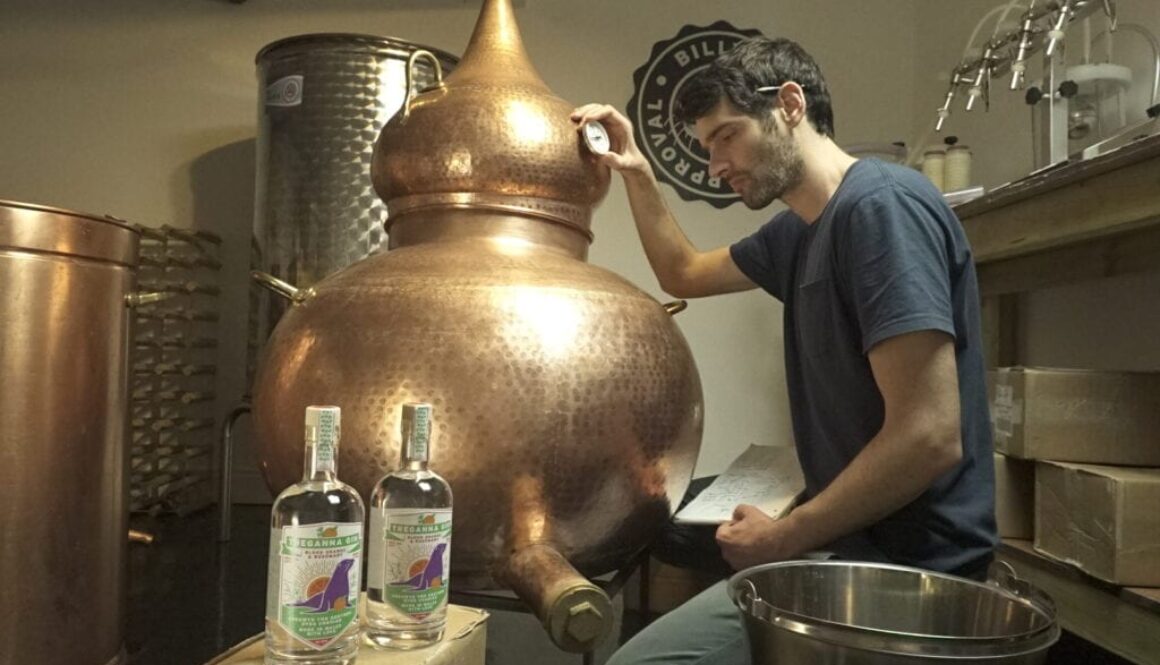 Craft Welsh gin in the process of being made.